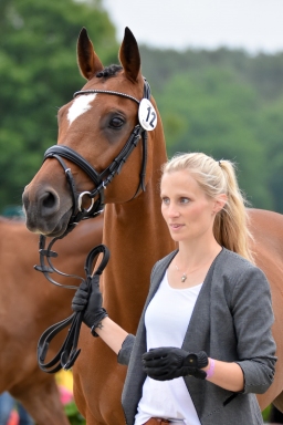 pocke-vet-luh2016-001-2-jpg