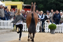 pocke-vet-luh2016-001-5-jpg