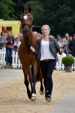 pocke-vet-luh2016-001-7-jpg