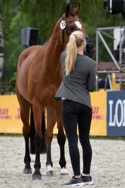 pocke-vet-luh2016-001-jpg