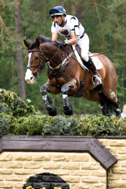 cic3-xc_luhmuehlen-2016-026-jpg