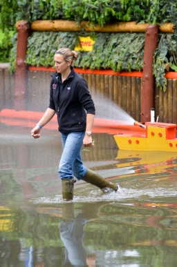 cic3-xc_luhmuehlen-2016-078