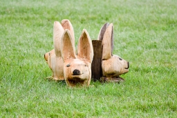 cic3-xc_luhmuehlen-2016-081