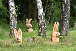 cic3-xc_luhmuehlen-2016-083