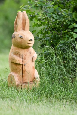 cic3-xc_luhmuehlen-2016-084