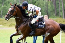 cic3-xc_luhmuehlen-2016-128