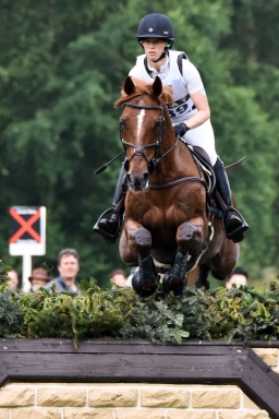 cic3-xc_luhmuehlen-2016-179