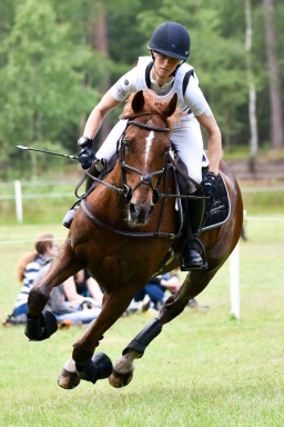 cic3-xc_luhmuehlen-2016-183