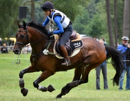 cic3-xc_luhmuehlen-2016-064