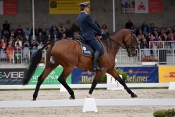 dressur-cic3_luhmuehlen-2016-036-jpg