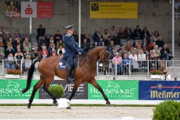 dressur-cic3_luhmuehlen-2016-037-jpg