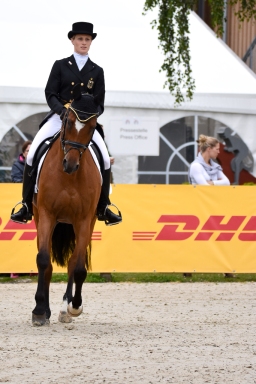 dressur-cic3_luhmuehlen-2016-061