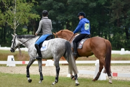 dressur-cic3_luhmuehlen-2016-013-jpg