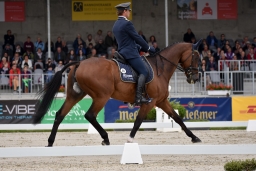dressur-cic3_luhmuehlen-2016-036-jpg