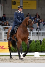 dressur-cic3_luhmuehlen-2016-042