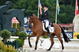 dressur-cic3_luhmuehlen-2016-062