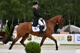 dressur-cic3_luhmuehlen-2016-063