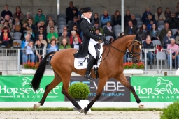 dressur-cic3_luhmuehlen-2016-064
