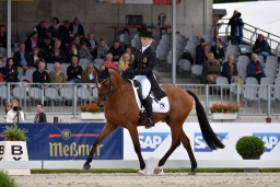 dressur-cic3_luhmuehlen-2016-068