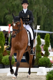dressur-cic3_luhmuehlen-2016-074