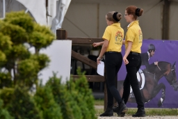 dressur-cic3_luhmuehlen-2016-083