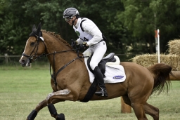 luhmuehlen-2018-djm-cic2-024-jpg