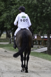 luhmuehlen-2018-djm-cic2-049-jpg