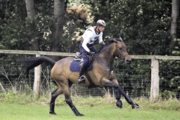 luhmuehlen-2018-djm-cic2-059-jpg