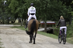 luhmuehlen-2018-djm-cic2-088-jpg
