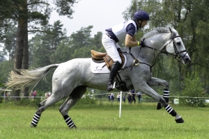 Luhmühlen 2019 - CCI5* XC