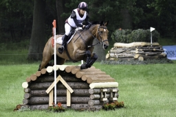 luhmuehlen-2019-cci5-018-jpg
