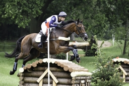 luhmuehlen-2019-cci5-027-jpg