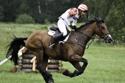 luhmuehlen-2019-cci5-034-jpg