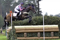 luhmuehlen-2019-cci5-039-jpg