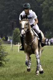luhmuehlen-2019-cci5-03_sam_watson_tullabeg_flamenco5-jpg