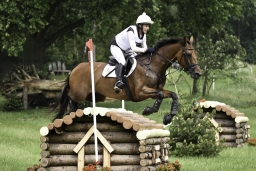 luhmuehlen-2019-cci5-040-jpg