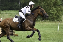 luhmuehlen-2019-cci5-041-jpg