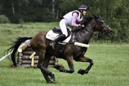 luhmuehlen-2019-cci5-049-jpg
