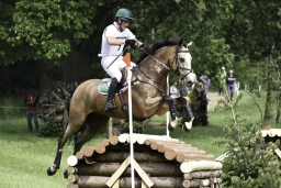 luhmuehlen-2019-cci5-057-jpg