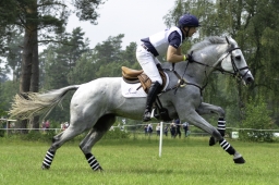 luhmuehlen-2019-cci5-061-jpg