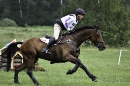 luhmuehlen-2019-cci5-070-jpg