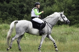 luhmuehlen-2019-cci5-071-jpg
