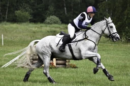 luhmuehlen-2019-cci5-082-jpg