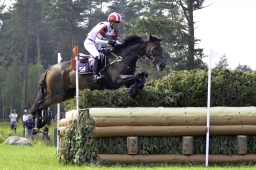 luhmuehlen-2019-cci5-086-jpg