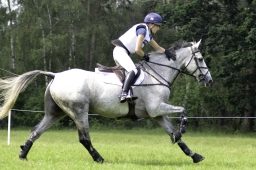 luhmuehlen-2019-cci5-094-jpg
