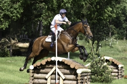 luhmuehlen-2019-cci5-140_tom_mcewn_figaro_van_het_broekxhof-jpg