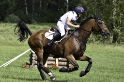 luhmuehlen-2019-cci5-141_tom_mcewn_figaro_van_het_broekxhof-jpg