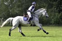 luhmuehlen-2019-cci5-145-jpg