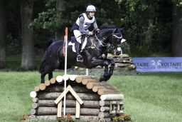luhmuehlen-2019-cci5-149-jpg