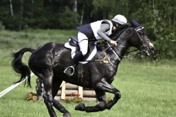 luhmuehlen-2019-cci5-150-jpg